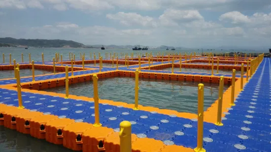 Flotadores inflables grandes del agua del lago flotadores inflables del muelle de la plataforma flotante del agua