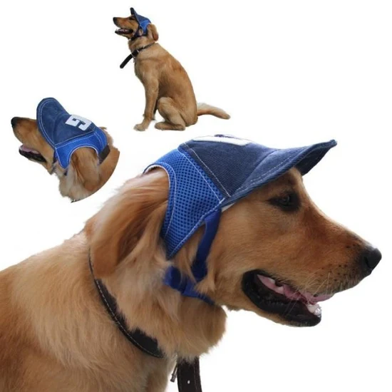 Sombrero para perro visera de protección solar sombrero estilo Pastoral accesorios para mascotas